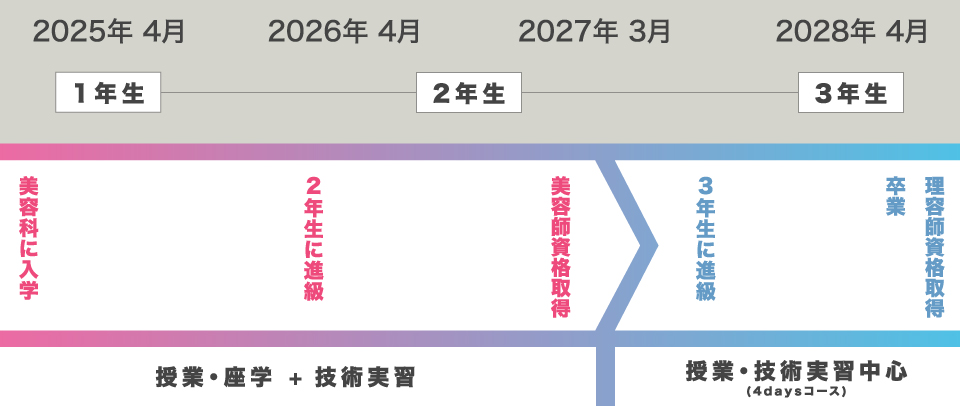 2025年4月:美容科に入学(授業・座学+技術実習)、2026年4月:2年生に進級・美容師資格取得、2027年3月:3年生に進級 授業・技術実習中心(4daysコース)、2028年4月:理容師資格取得卒業